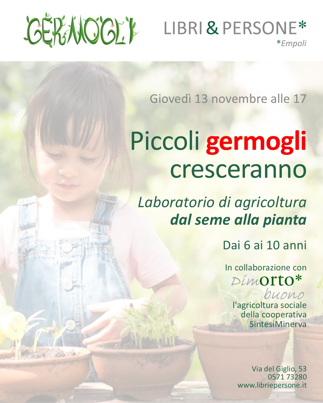 2025 11 20 rettangolare germogli